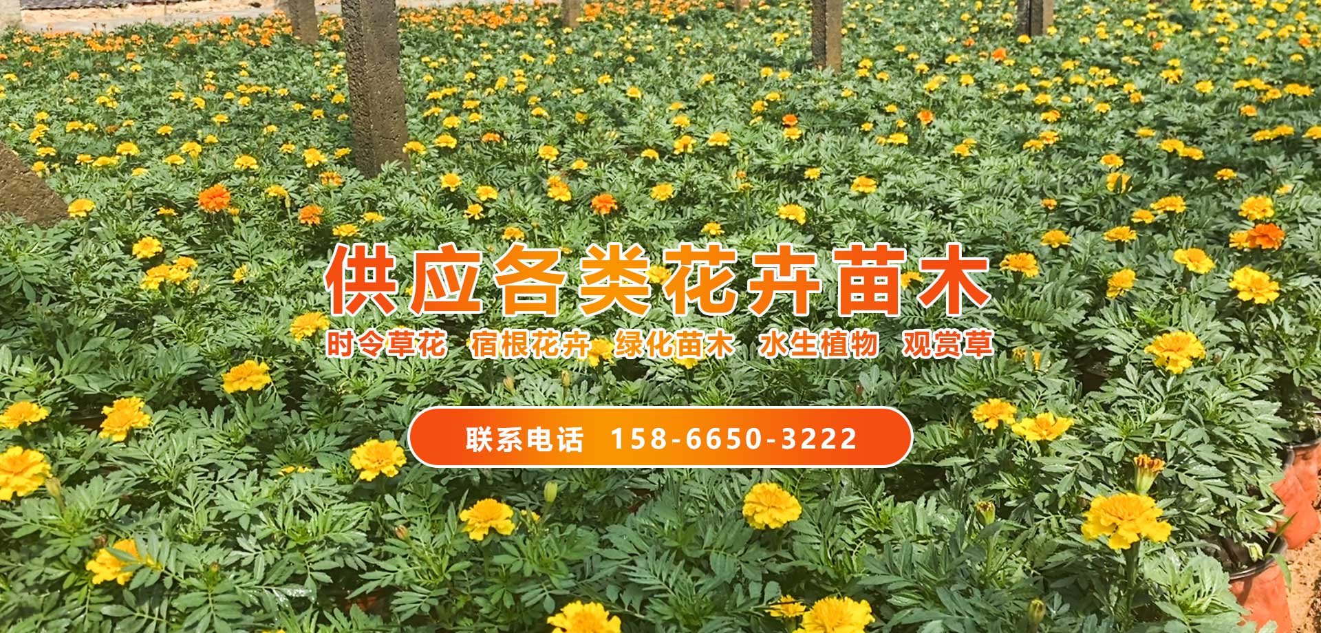 濕簾生產(chǎn)廠(chǎng)家
