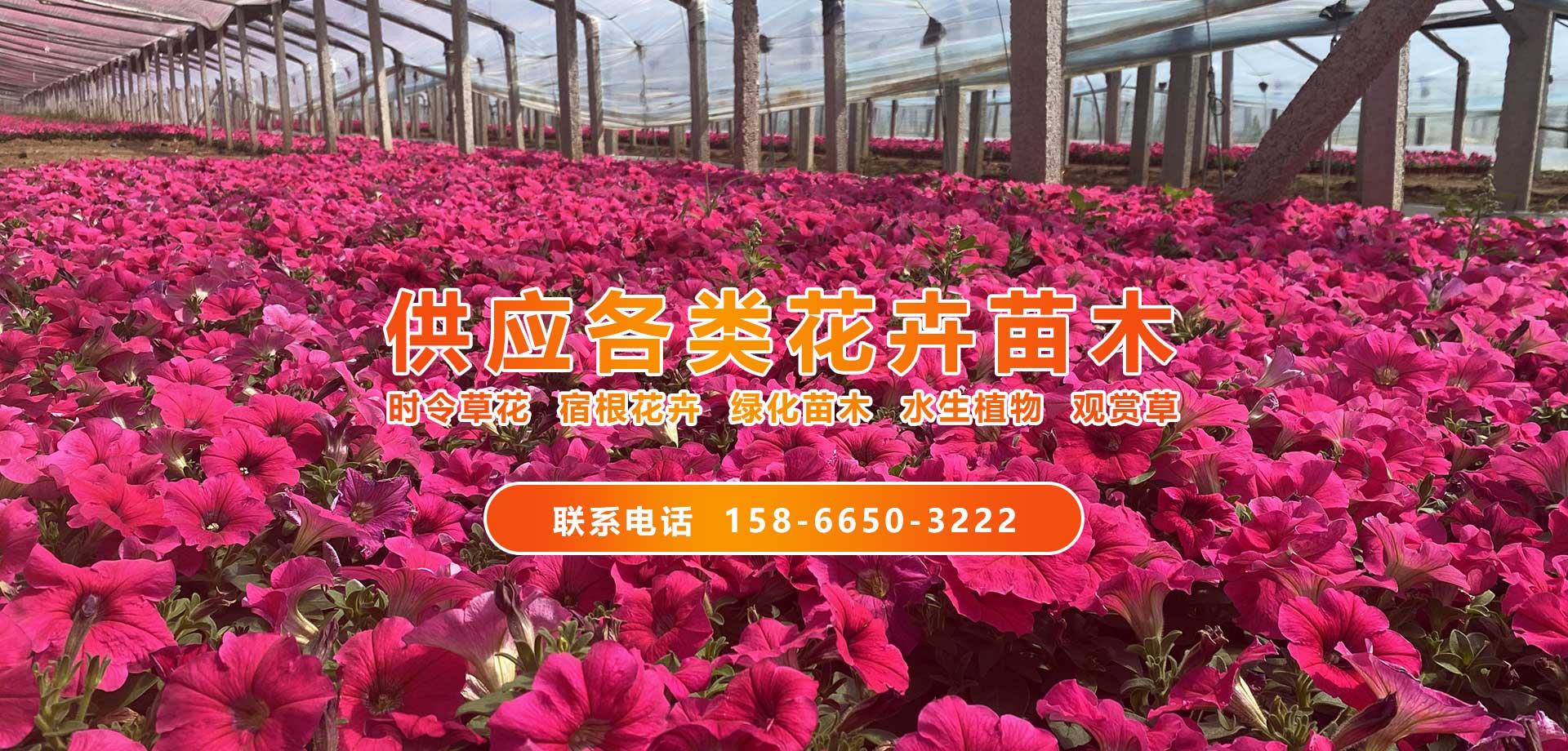 風(fēng)機(jī)水簾供應(yīng)商